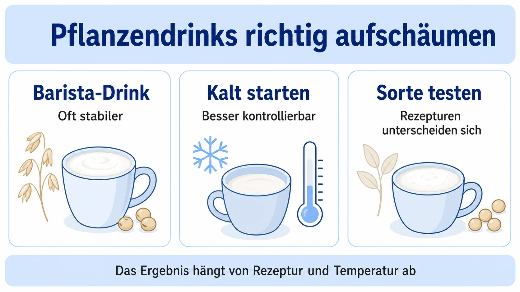 Infografik: Pflanzendrinks richtig aufschäumen